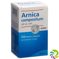 Arnica Comp Heel Tabletten Ad Us Vet. Dose 250 Stück