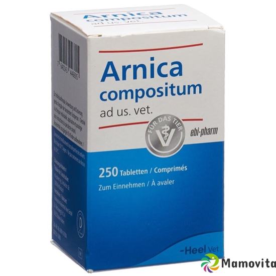 Arnica Comp Heel Tabletten Ad Us Vet. Dose 250 Stück buy online