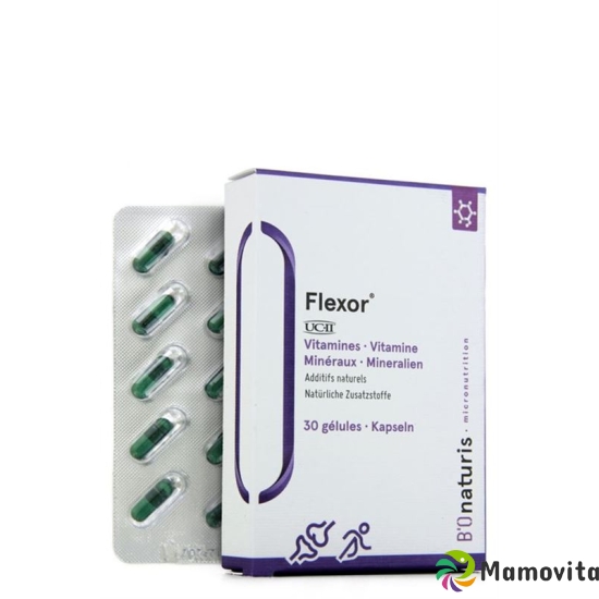 Bionaturis Flexor Kapseln Dose 30 Stück buy online