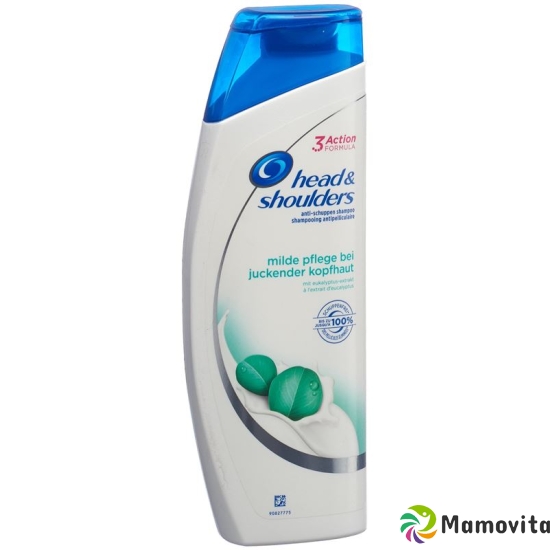 Head & Shoulders Anti-Dandruff Shampoo itchy scalp 300ml buy online