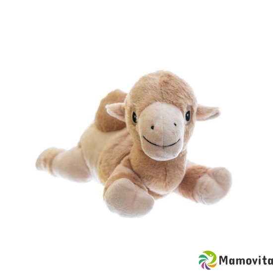 Habibi Plush Baby Camel Case Washable buy online