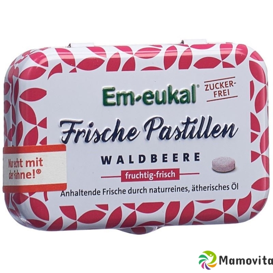 Soldan Em-Eukal Pastillen Waldb Zuckerf Xyl 20g buy online