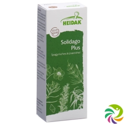 Heidak Spagyrik Solidago Plus Spray Flasche 30ml