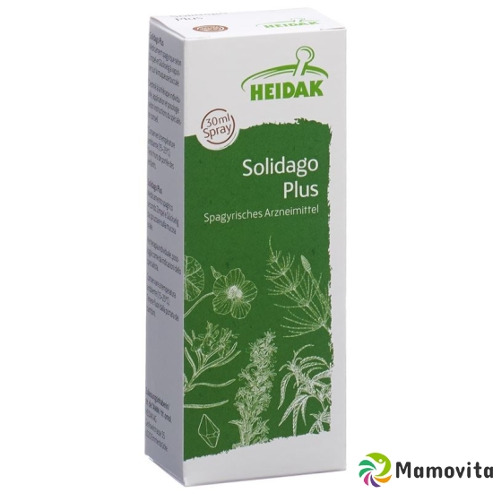 Heidak Spagyrik Solidago Plus Spray Flasche 30ml buy online