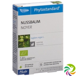 Phytostandard Nussbaum Kapseln Bio 20 Stück