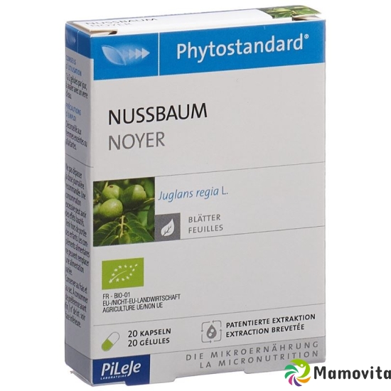 Phytostandard Nussbaum Kapseln Bio 20 Stück buy online