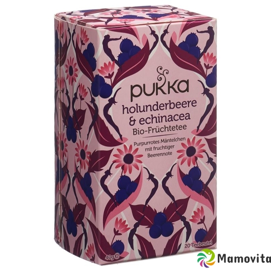 Pukka Holunderbeere & Echinacea Tee Bio Beutel 20 Stück buy online