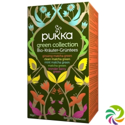 Pukka Green Collection Tee Bio Beutel 20 Stück