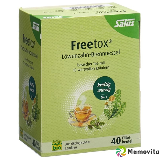 Salus Freetox Tee Löwenzahn Brenn Bio Beutel 40 Stück buy online