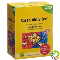 Salus Basen-Aktiv Tee No 2 Bio Beutel 40 Stück