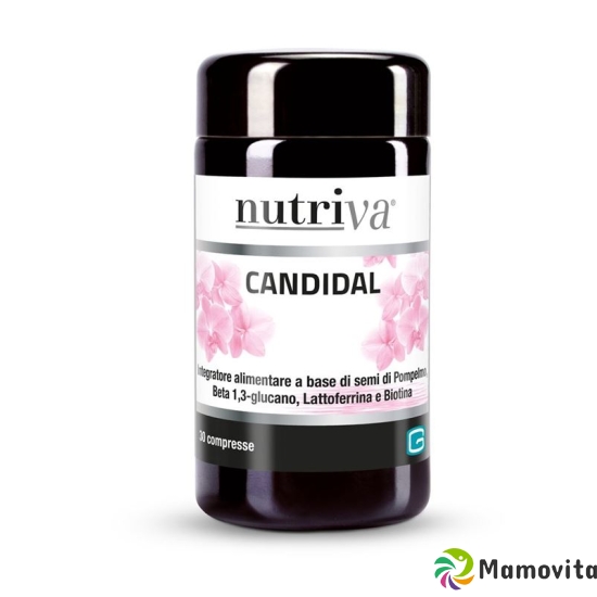 Nutriva Candidal Tabletten 500mg 30 Stück buy online