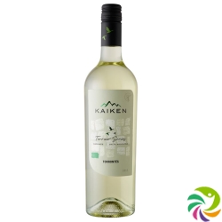 Terroir Series Torrontes Salta Kaiken 17 6x 75cl