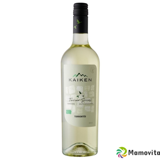 Terroir Series Torrontes Salta Kaiken 17 6x 75cl buy online