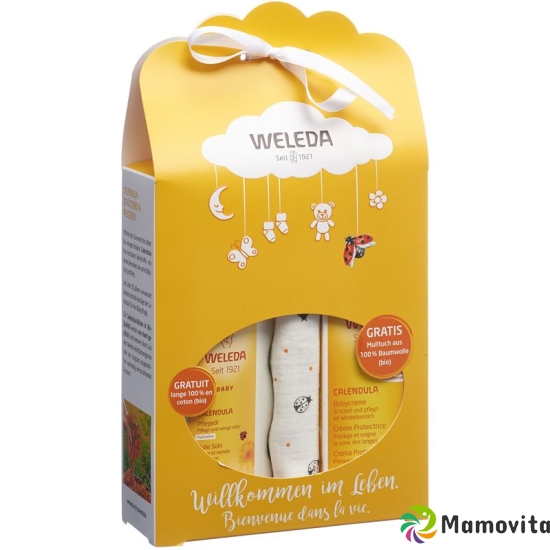 Weleda baby care gift set 2019 buy online