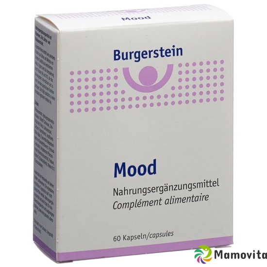 Burgerstein Mood capsules 60 pieces buy online