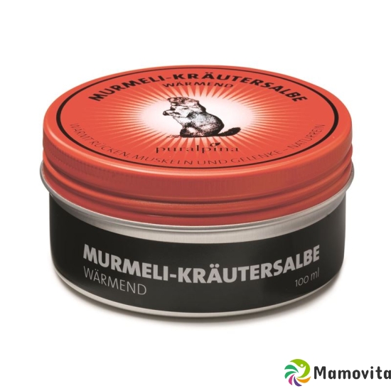 Puralpina Murmeli-kräutersalbe Wärmend 50ml buy online