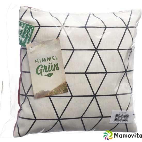 Aromalife pine cushion 20x20cm Modern buy online