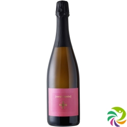 Vino Frizzante D`italia Rosato Se Parole 6x 75cl