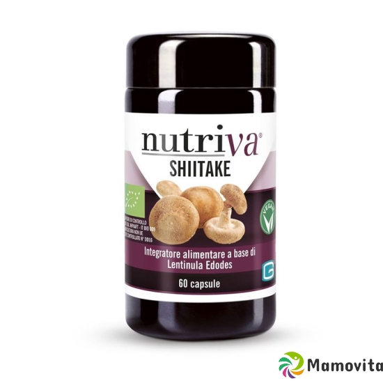 Nutriva Shiitake Tabletten 596mg 60 Stück buy online