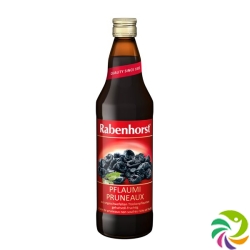 Rabenhorst Pflaumi (neu) Flasche 7.5dl