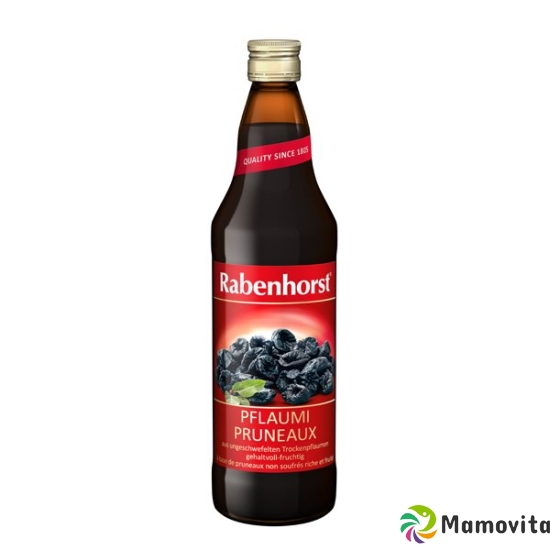 Rabenhorst Pflaumi (neu) Flasche 7.5dl buy online