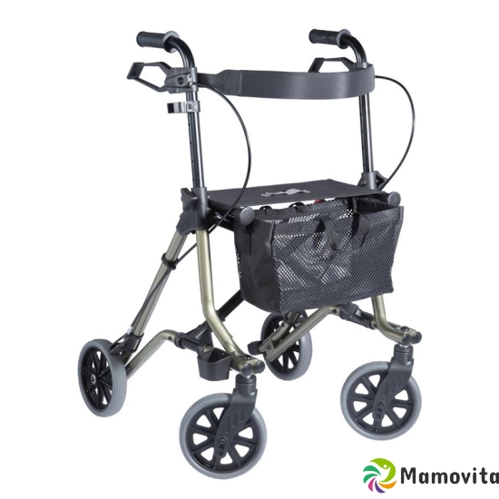 Dietz Rollator Taima M C1 mit Rückenlehne Grün M buy online