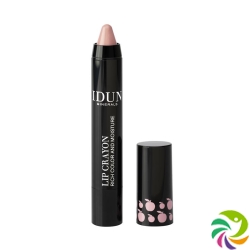 IDUN Lipstick Agnetha 2.5g