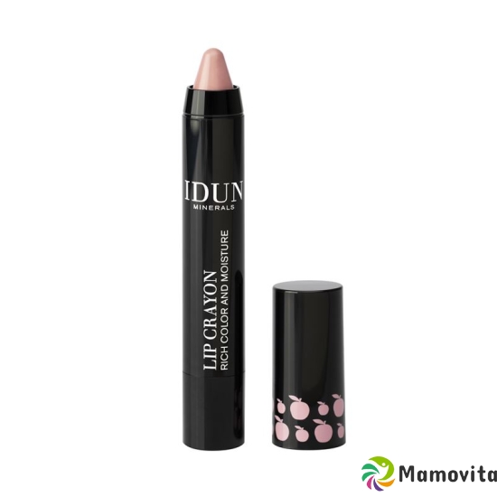 IDUN Lipstick Agnetha 2.5g buy online