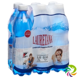 Lauretana Mineralwasser O Kohlens 6 Petflasche 500ml