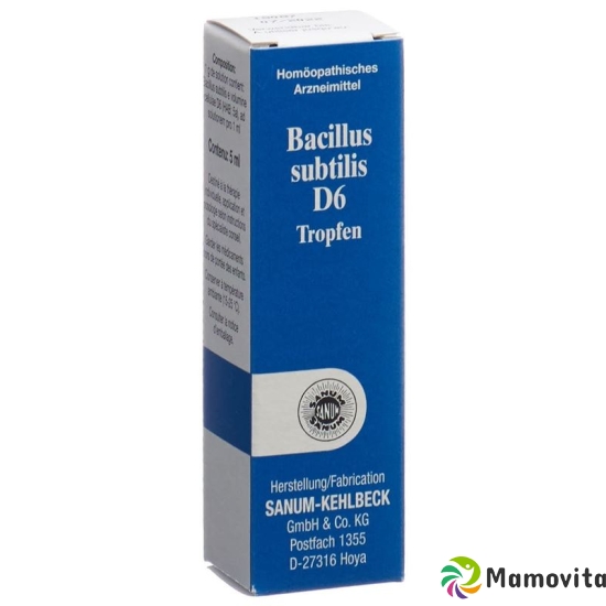 Sanum Bacillus Subtilis Tropfen D 6 (neu) Flasche 5ml buy online