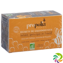 Propolia Tee Nach Dem Essen Bio Beutel 20 Stück