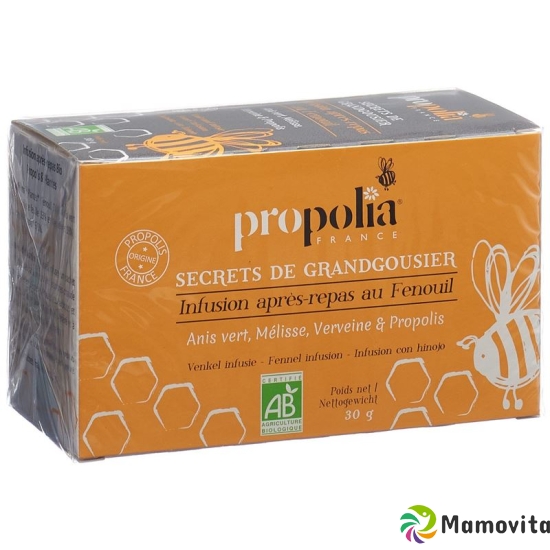 Propolia Tee Nach Dem Essen Bio Beutel 20 Stück buy online