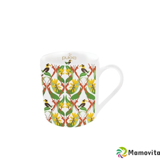 Pukka Tasse Kurkuma buy online