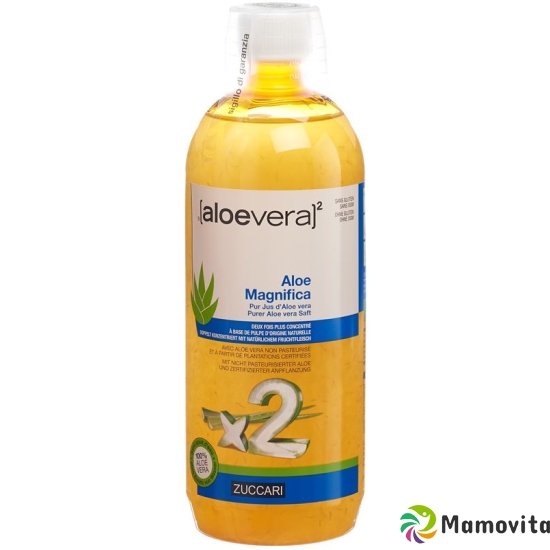 Zuccari Aloe Magnifica Flasche 1L buy online