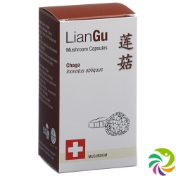 LianGu Chaga Mushrooms Capsules Can 60 Pieces