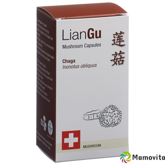 LianGu Chaga Mushrooms Capsules Can 60 Pieces buy online