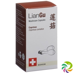 LianGu Coprinus Mushrooms Capsules Can 60 Pieces