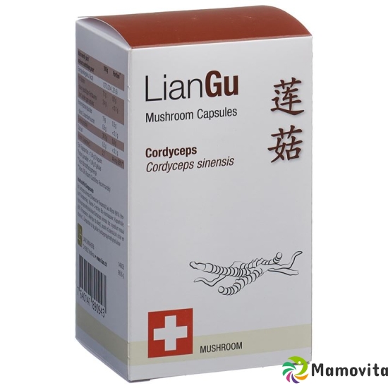 LianGu Cordyceps Mushrooms Capsules Can 180 Pieces buy online