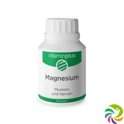 Vitaminplus Magnesium Kapseln Dose 120 Stück