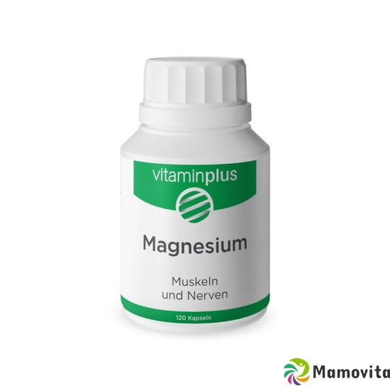 Vitaminplus Magnesium Kapseln Dose 120 Stück buy online