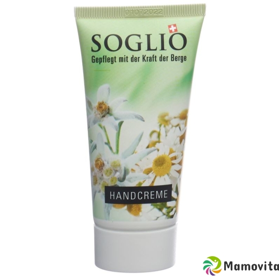 Soglio Handcreme Tube 50ml buy online