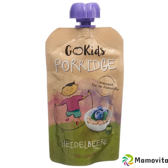 Go Kids Porridge Heidelbeere 110g buy online