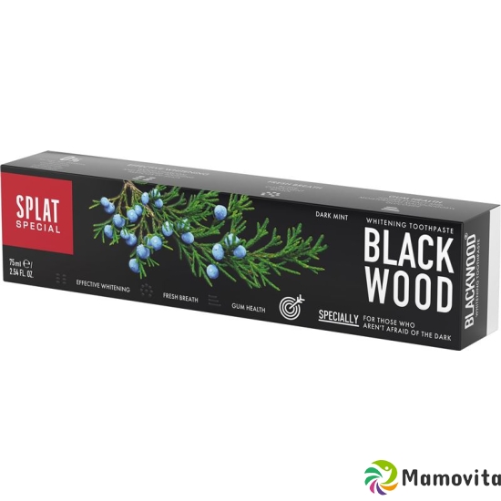 Splat Special Blackwood Zahnpasta Tube 75ml buy online