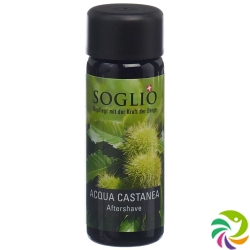 Soglio Aqua Castanea Flasche 100ml