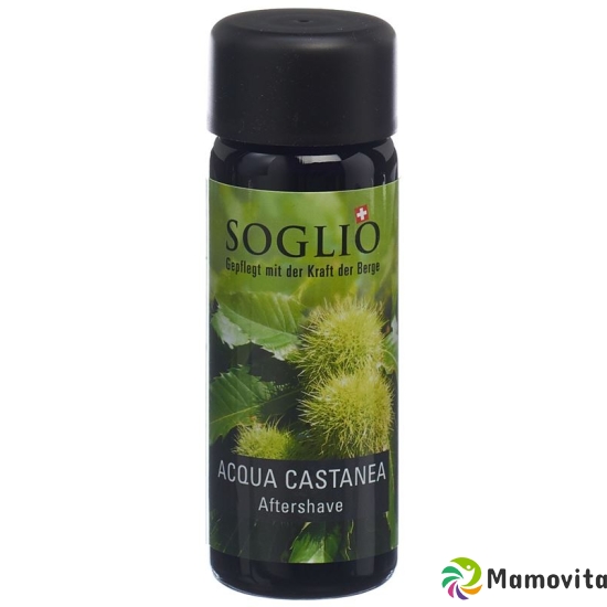 Soglio Aqua Castanea Flasche 100ml buy online