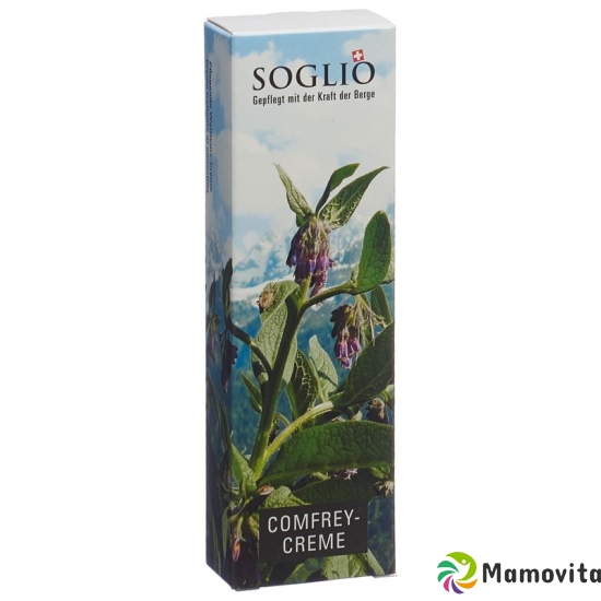 Soglio Comfrey-Creme Tube 40ml buy online