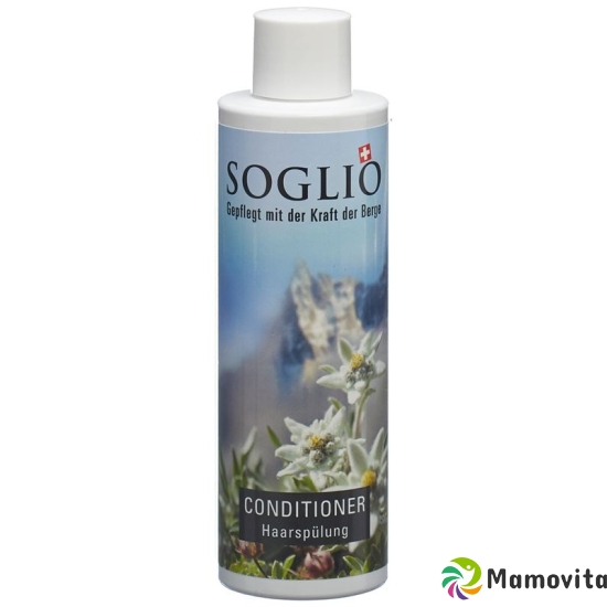 Soglio Conditioner Flasche 200ml buy online