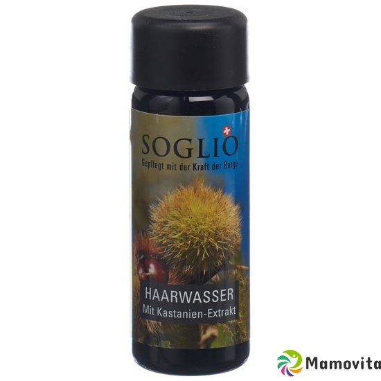 Soglio Haarwasser mit Kastanien-Extrakt Flasche 100ml buy online