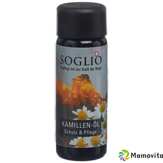 Soglio Kamillen-Oel Flasche 100ml buy online