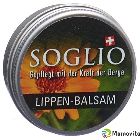 Soglio Lippen-Balsam Topf 15ml buy online